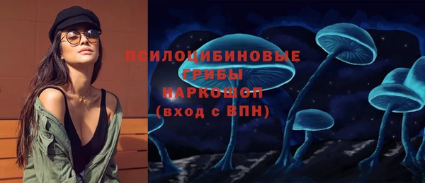 стаф Бородино