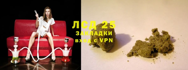 стаф Бородино