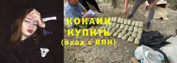 соль ск Верея