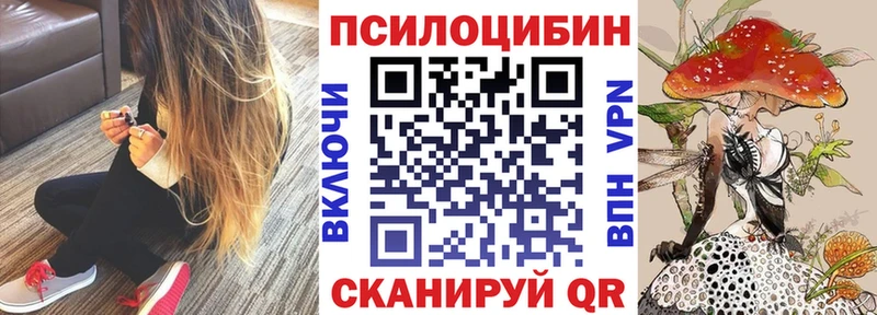 Купить закладки  Сертолово  Псилоцибиновые грибы MAGIC MUSHROOMS 